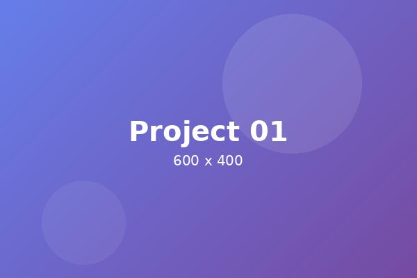 Project 1