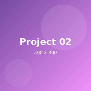 Project 2