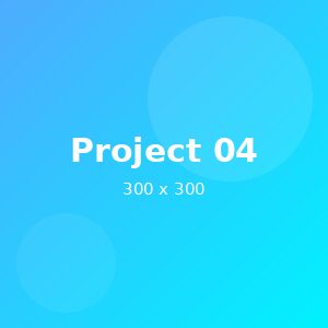 Project 4