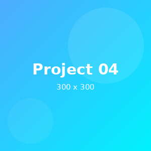 Project 4